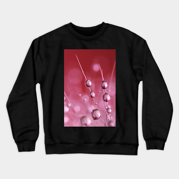 Claret Cactus Drops Crewneck Sweatshirt by SharonJ